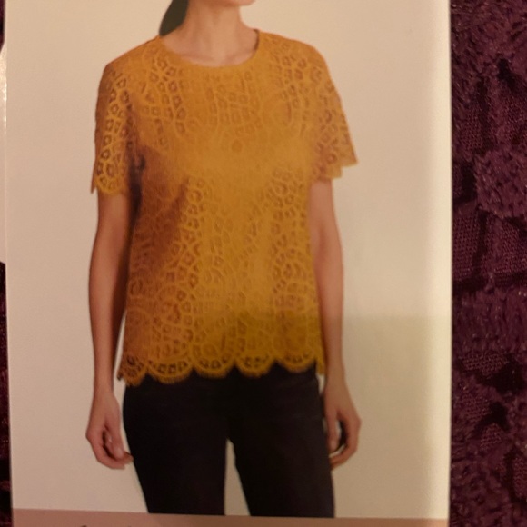 🌑Lace eyelet overlay🌑  Ladies Blouse  NWT - Picture 7 of 12